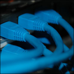 cat5