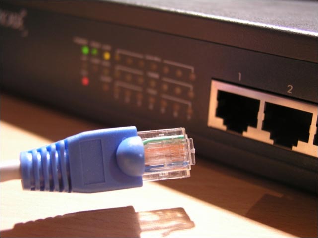 cat5