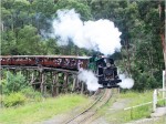 puffing-billy